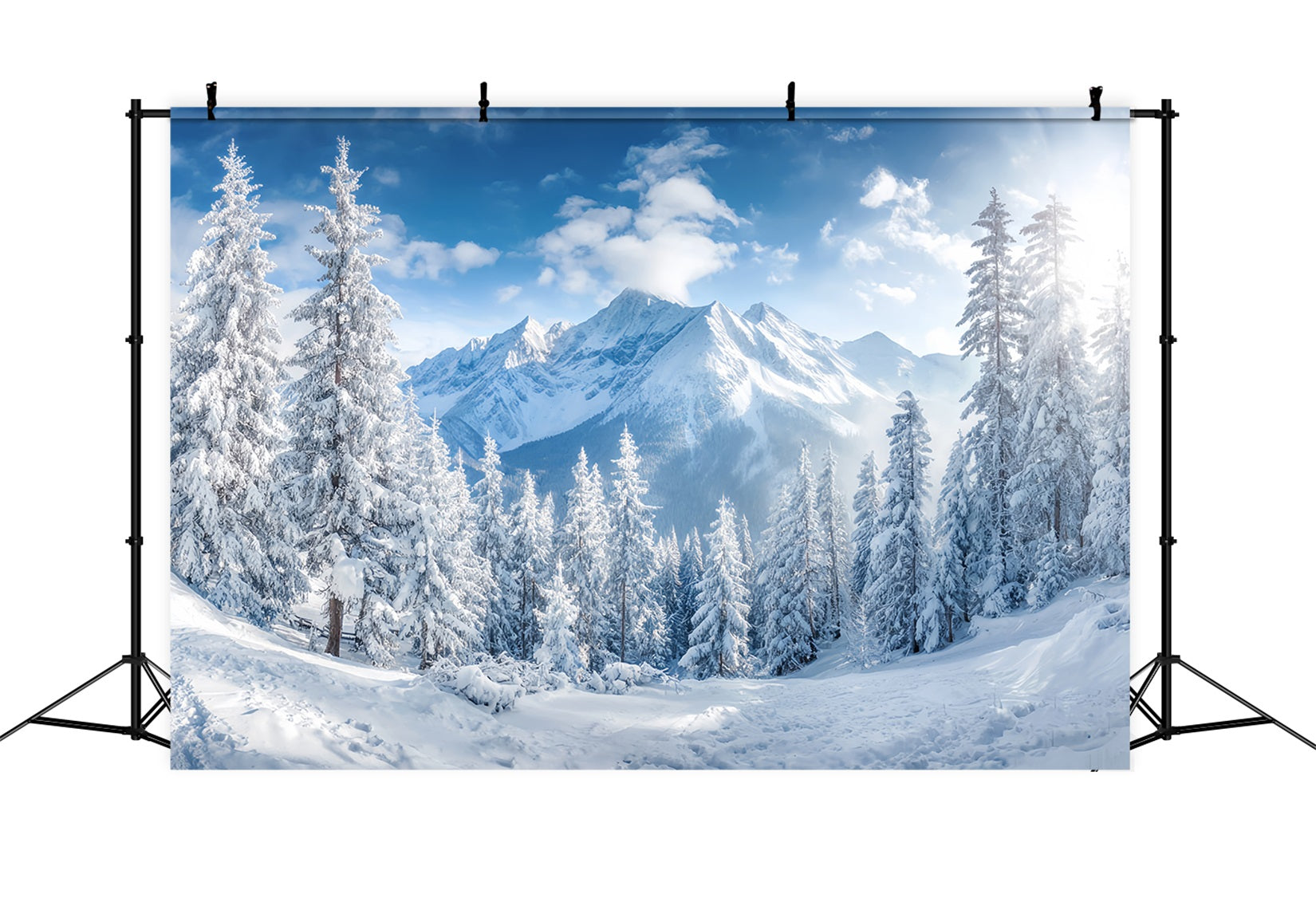Toile de fond Forêt Enneigée Montagnes Hivernales Vallée Pins TWW59-153