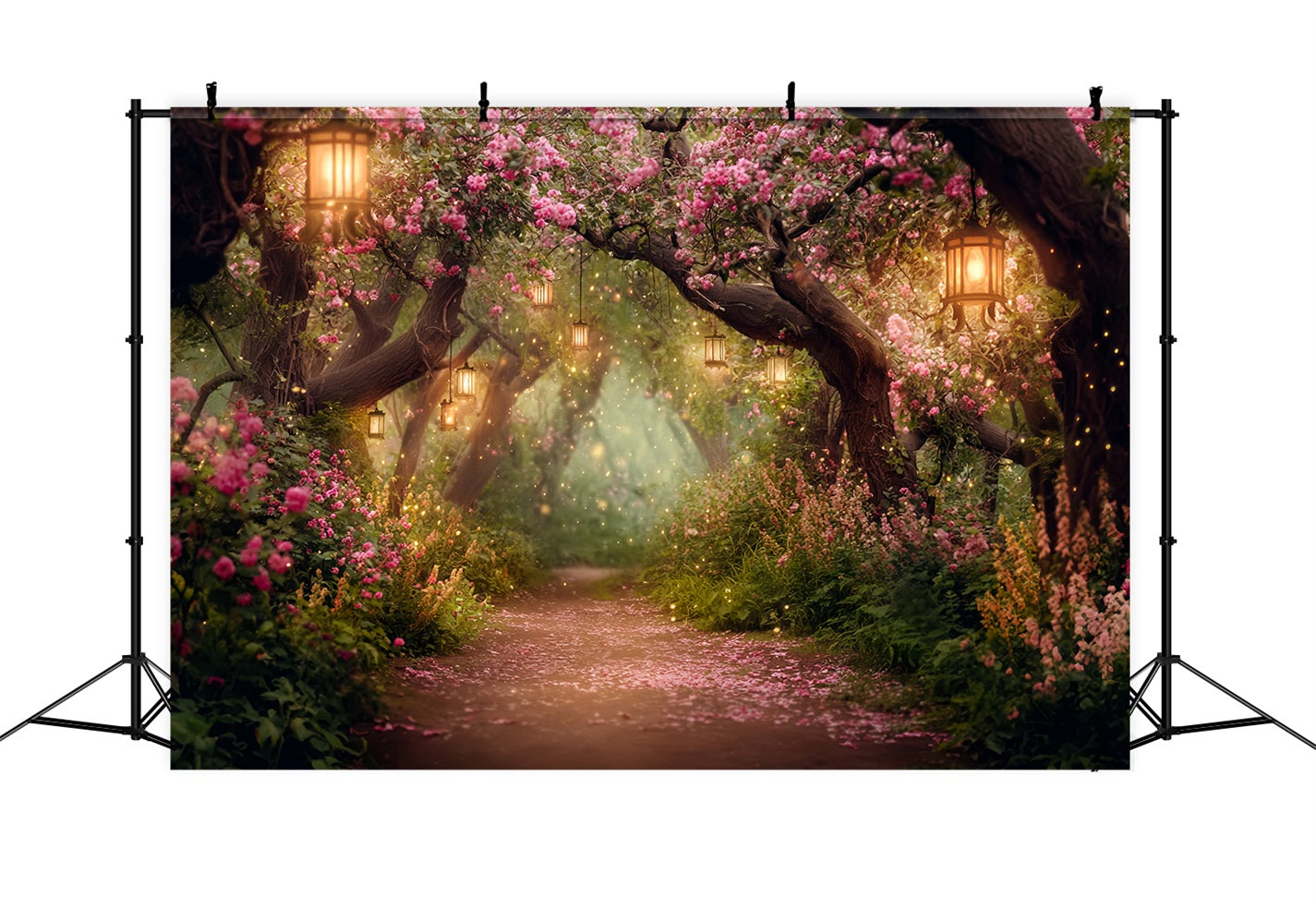Toile de fond Forêt Nocturne Sentier Fleurs Lanternes Épanouies Photo TWW59-155
