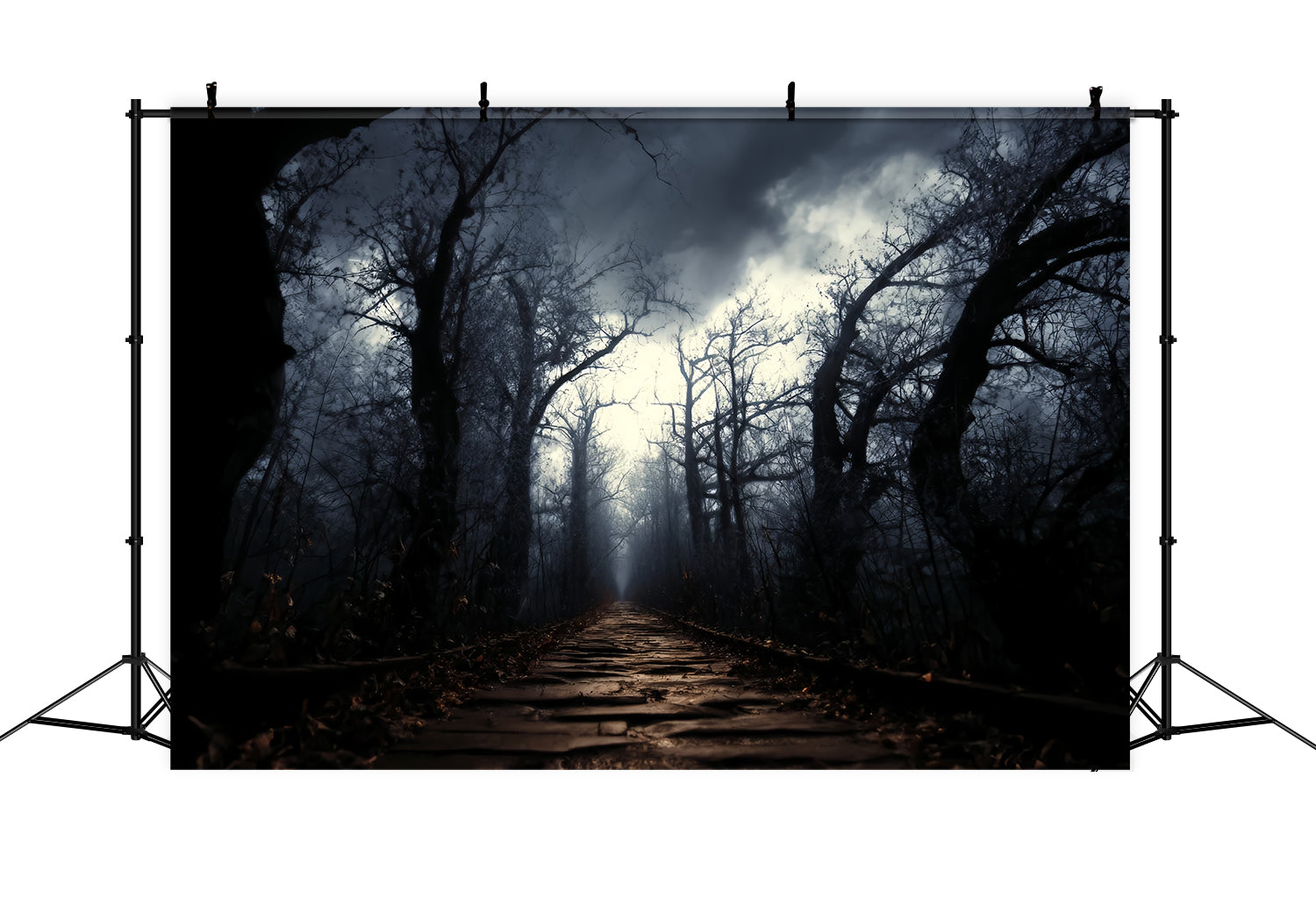 Toile de fond Forêt Effrayante Sentier Hanté Brume Forêt Sombre TWW59-159
