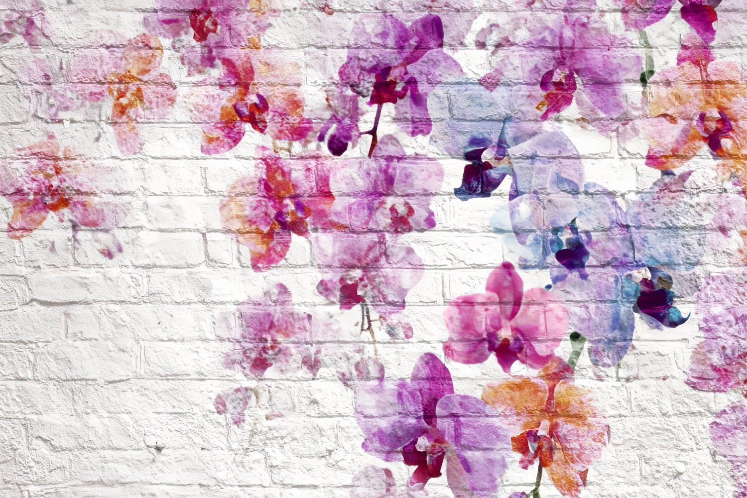Toile de fond Mur Brique Orchidée Aquarelle Mur Blanc TWW59-182