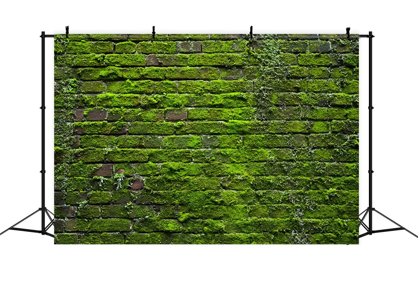 Toile de fond Mur Brique Vert Mousse Vintage TWW59-185