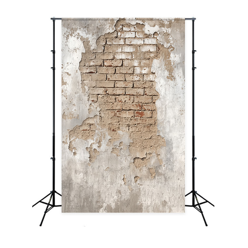 Toile de fond Mur Brique Plâtre Vieilli Maçonnerie Apparente TWW59-191