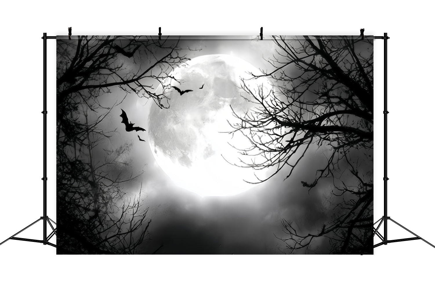 Fond Studio Halloween Pleine Lune Chauves-Souris Volantes TWW59-67