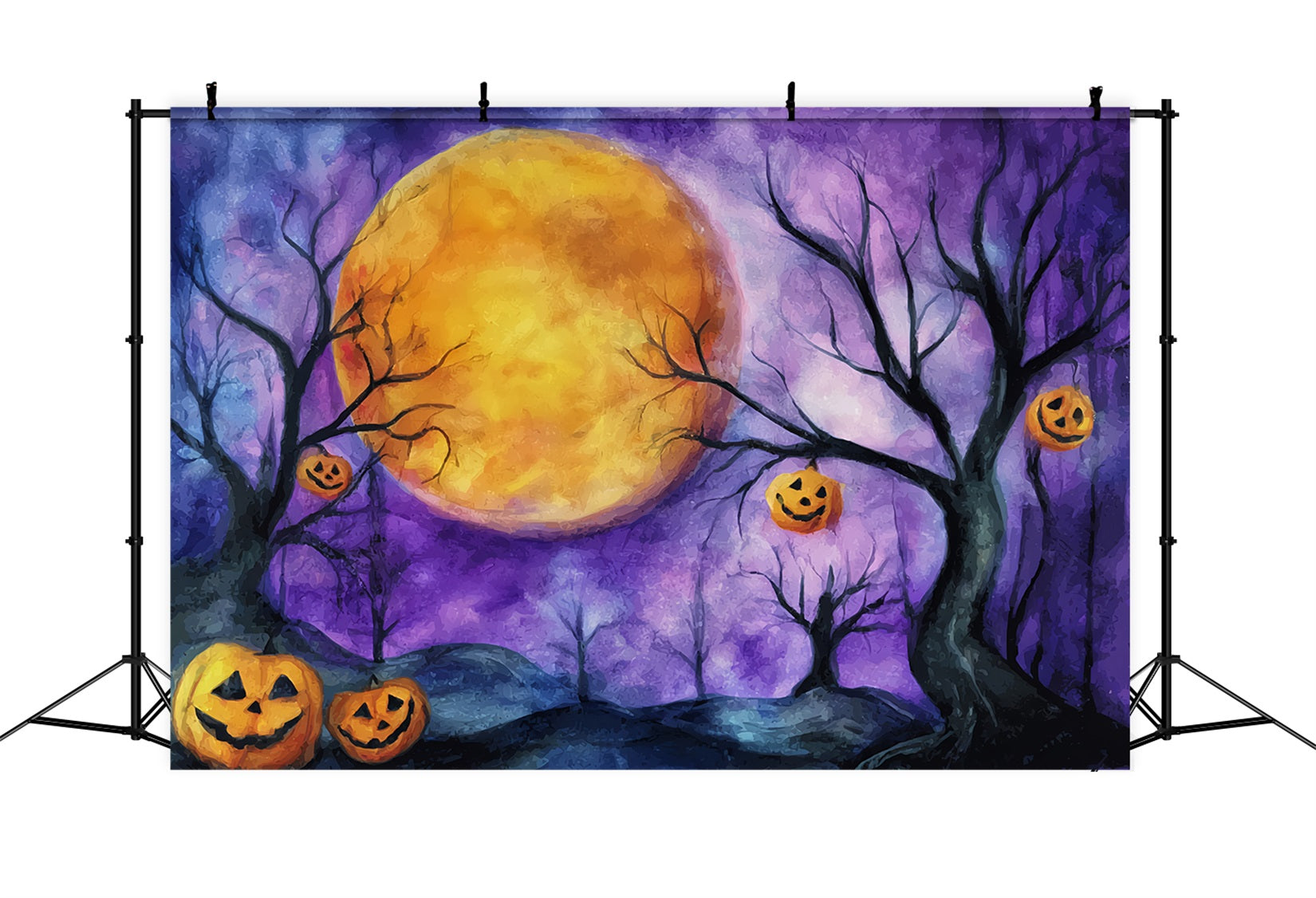 Fond De Photo Halloween Lune Citrouille Ciel Violet Illuminé TWW59-74