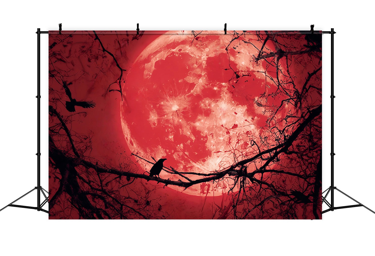 Toile De Fond Halloween Lune Sanglante Corbeau Silhouette TWW59-83