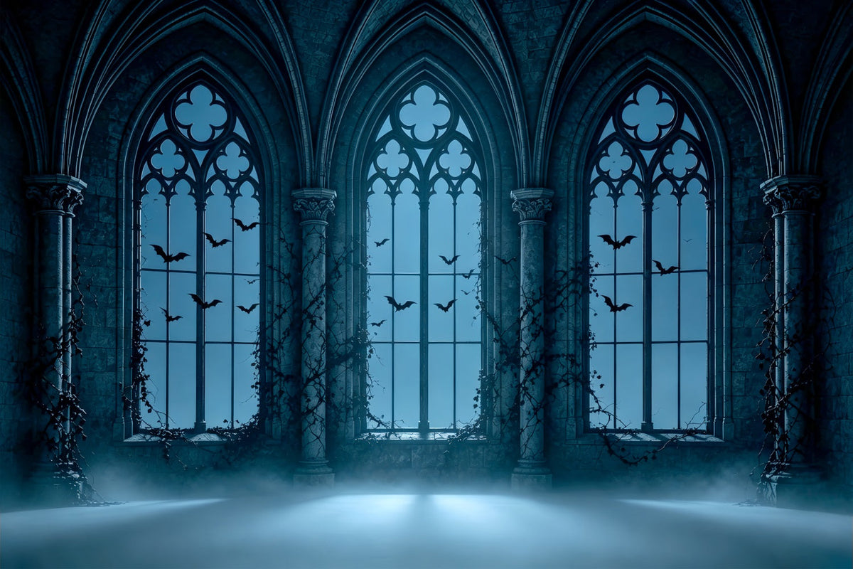 Idées De Décors Photo Pour Une Fête D'Halloween Vampire Fenêtres Cintrées Gothiques Brumeuses ZTT67-59