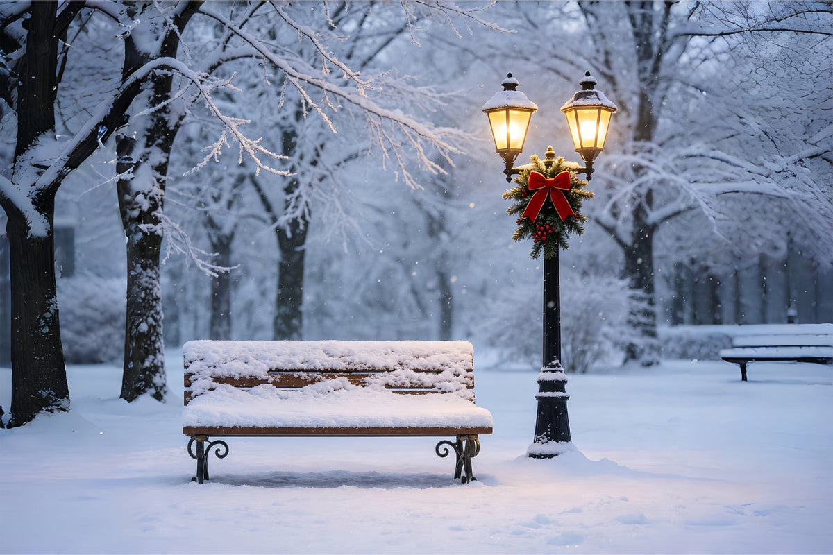 Décor De Neige De Noël La Lueur D'Une Lanterne Sur Un Banc Enneigé Toiles De Fond En Mousseline De Noël ZTT69-11