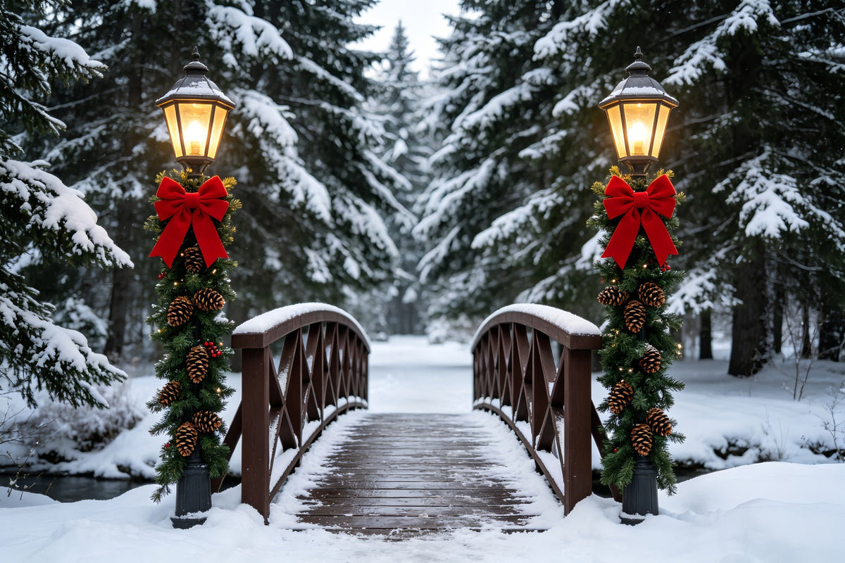 Décor De Noël D'Hiver Chemin Des Lanternes Du Pont Enneigé Décors De Studio De Noël ZTT69-36