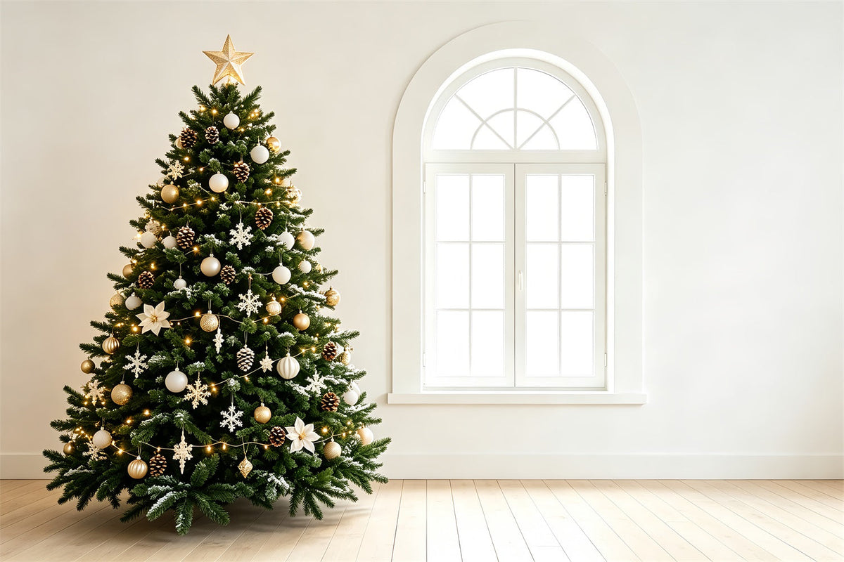 Fond De Noël Simple Intérieur Élégant Avec Fenêtre En Forme D'Arbre Fond De Noël Professionnel ZTT69-43