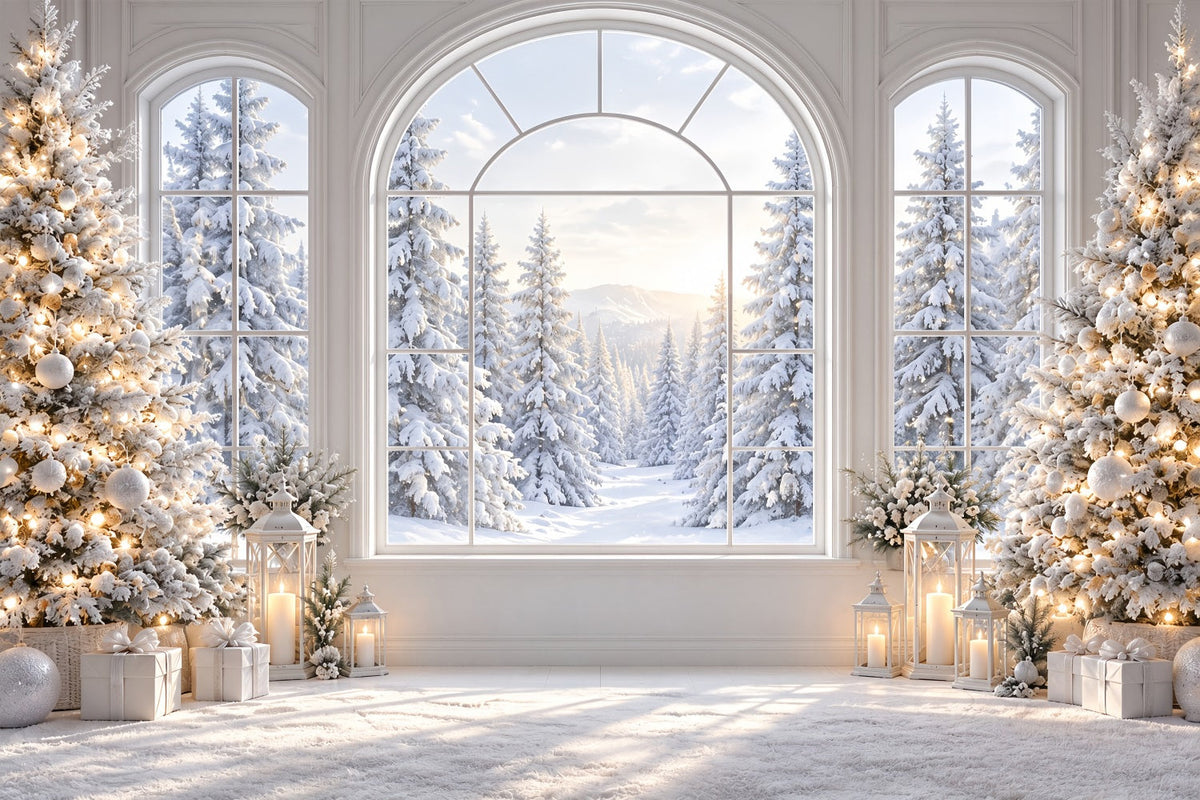 Fond De Fenêtre De Noël Vue Élégante Enneigée ZTT69-76