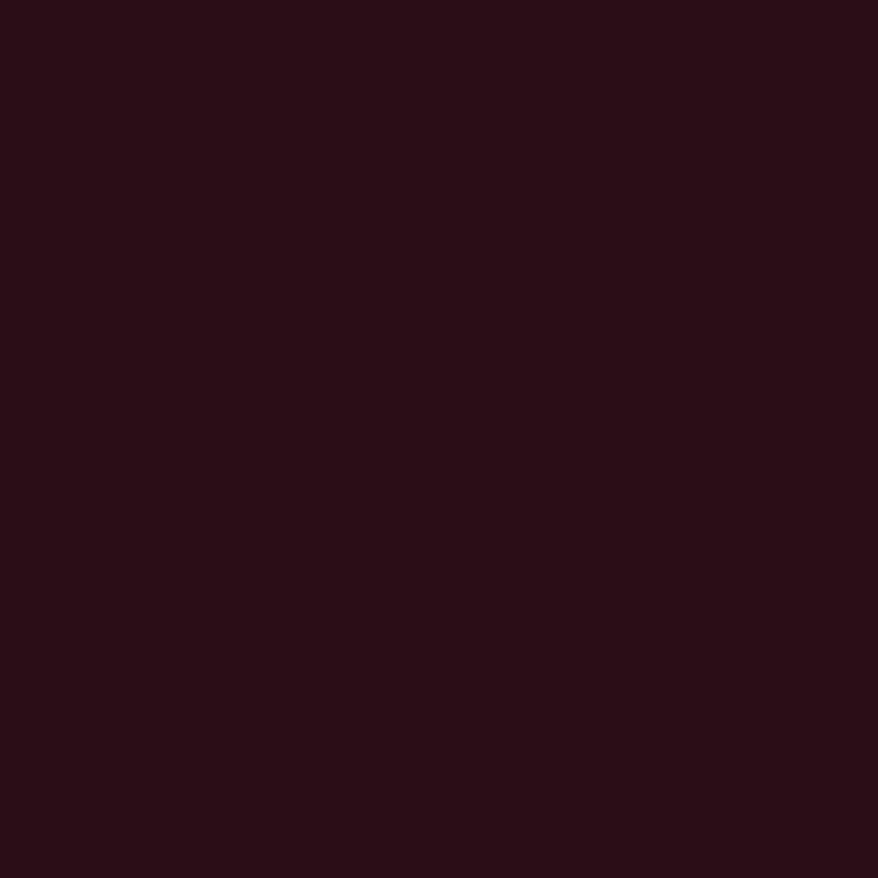 Solid Color Dark Burgandy  Photography Backdrop SC67