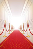 Red Carpet Backdrops Party Background Wall Backdrop