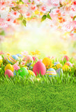 Easter Egg Grass Flowers Photography Backdrop