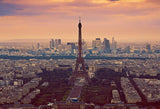 Eiffel Tower Backdrop Paris Landmark Fountain Sunset Scene Backdrop for Photos D127