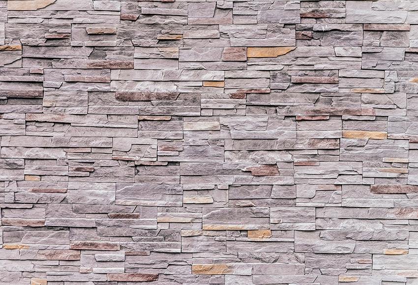 Brick Stone Wall Close Up Backdrop for Photo Booth D135