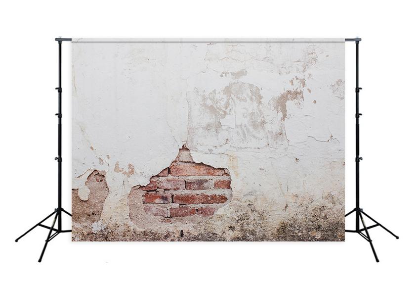 White Damaged Brick Wall Backdrops for Photo Studio D139