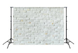 Brick Wall Texture Photography Backdrops for Studio D146