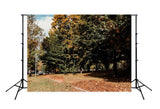 Autumn Yellow Fallen Leaves Park Tree Photography Backdrop D346