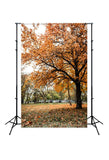 Autumn Forest Yellow Leaves Photography Backdrop D348