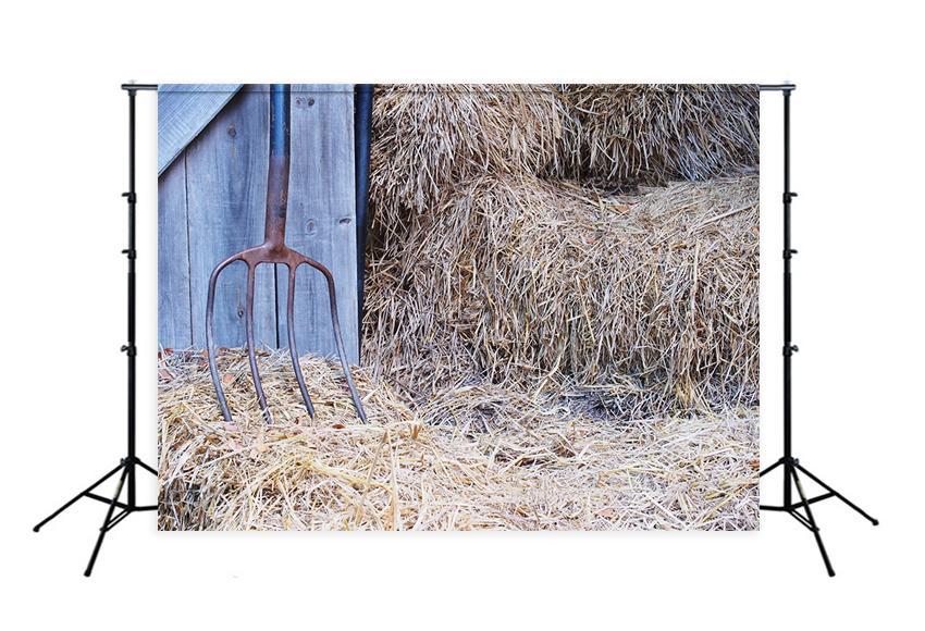 Iron Rake Door Rice Straw Backdrop for Photography D422