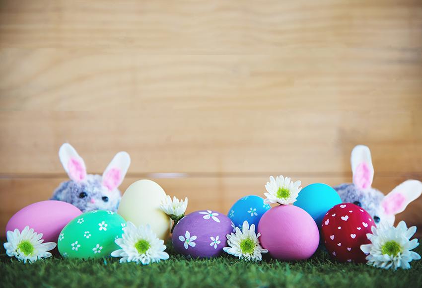 Easter Decorations Backdrop Easter Bunny Eggs Backdrop for Photos D454
