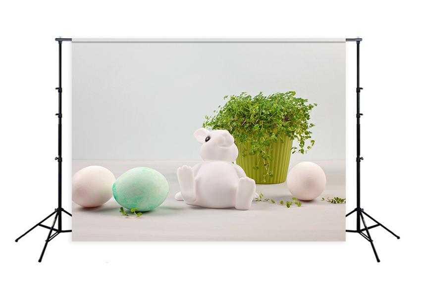 Photo Backdrop Easter Bunny Eggs Backdrop for Photography D467