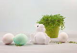 Photo Backdrop Easter Bunny Eggs Backdrop for Photography D467