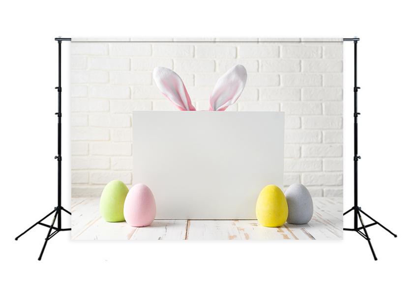 Easter Bunny Eggs White Wall Backdrop for Photography D468