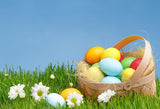 Colorful Easter Eggs Green Grass Happy Easter Photography Backdrop SH564