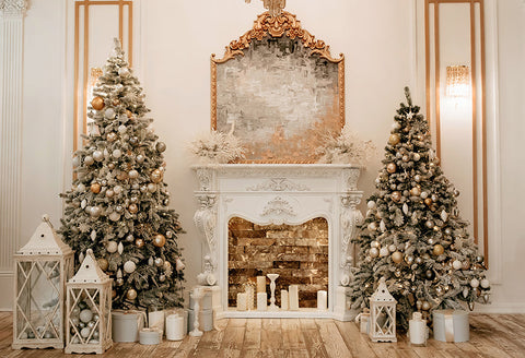 Christmas Holiday  Photography Studio Backdrop