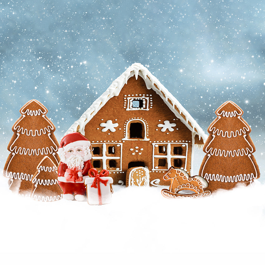 Gingerbread House Candy Canes Photo Shoot Backdrop