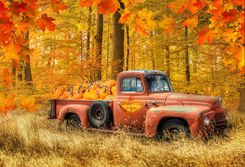 Fall Harvest Pumpkin Truck Thanksgiving Backdrop