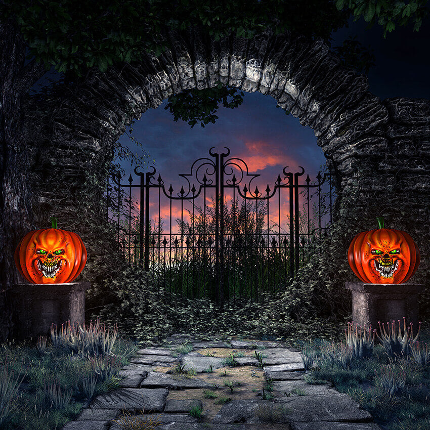 Halloween Scene Old Stone Gate Photo Backdrop