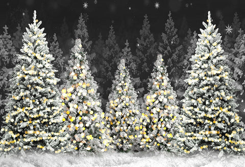 Un Grand Arbre De Noël Avec Les Guirlandes Lumineuses Et L'étoile Brillent  Le Duvet Léger Sur La Rue En Hiver Décoration De La Vi Photographie  éditorial - Image du cadre, vert: 99101552