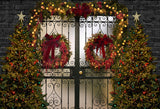 Christmas Door Wreath Lights Decoration Backdrop D900