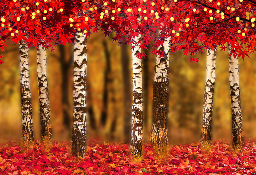 Autumn Maple Leaves Photography Backdrop