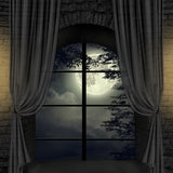Manoir Clair de Lune Fenêtre Halloween Toile de Fond D911