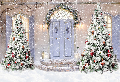 Christmas Tree Front Door Snow Backdrop