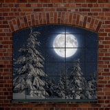 Fenêtre extérieure sapin lune hiver toile de fond D948