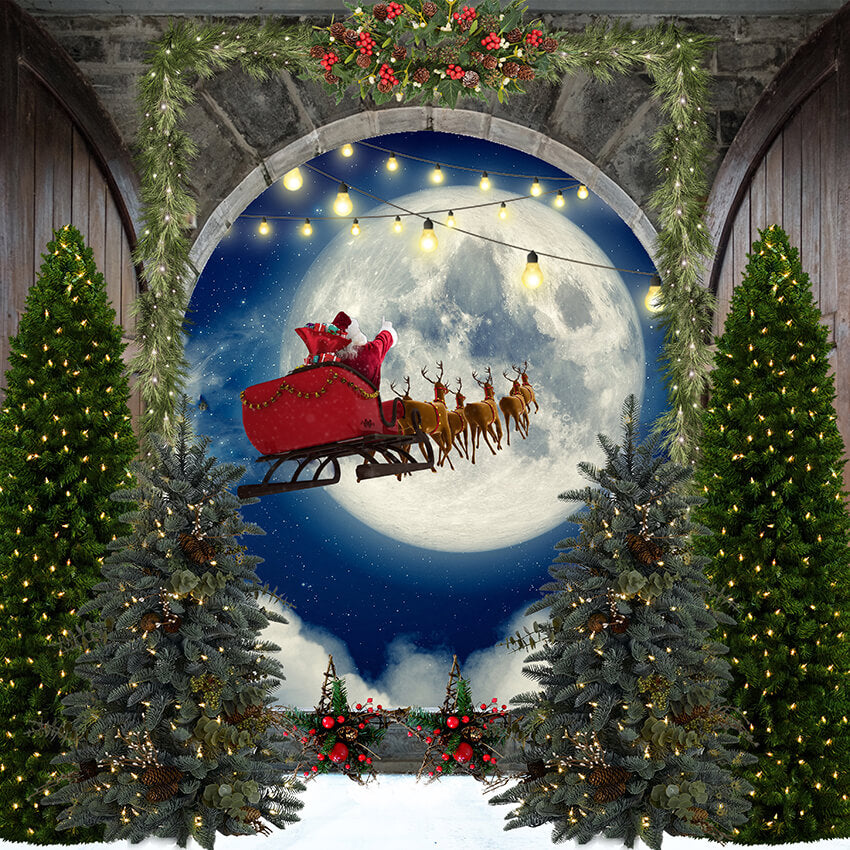 Père Noël Elk Moon Toile de fond de Noël D963