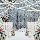Cordes lumineuses de la forêt gelée Toile de fond de Noël D990
