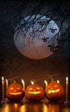 Halloween Citrouille Lanternes Bougies Toile de Fond DBD-P19112