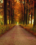 Autumn Photo Backdrop Yelllow Leaves Road Forest Photography Background F-155