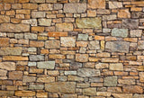 Stone Wall Photography Backdrop for Photo Studio F-1586