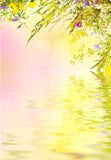 Spring Flowers Reflection in the Water Photography Backdrop  F-2345