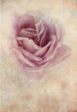 Pink Flower Portrait Photography Backdrop for Photographers  F-2363
