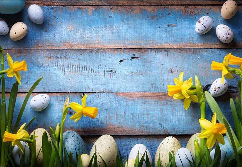 Easter Eggs Yellow Flowers Blue Wood Wall Backdrop for Photos F-2379