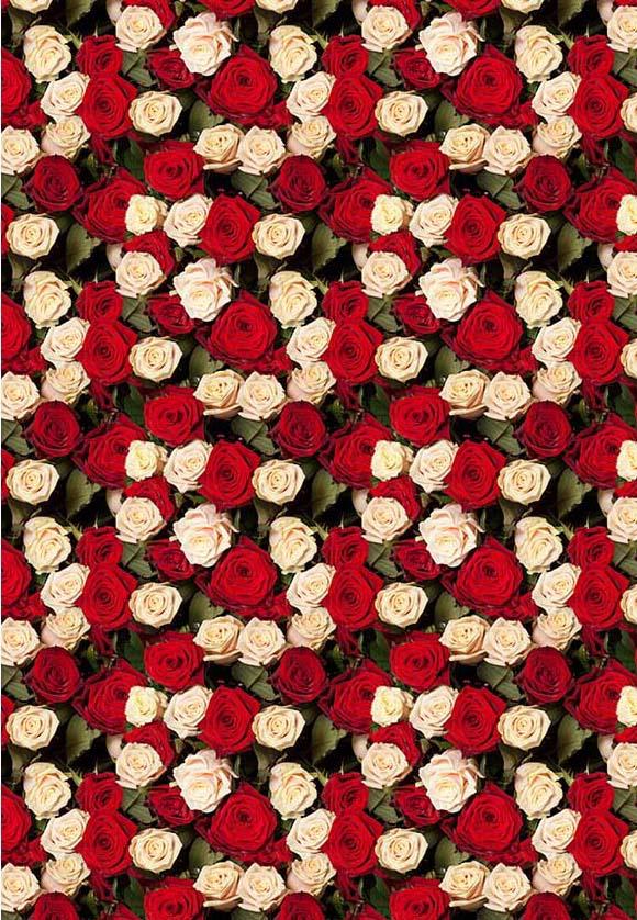 Red White Rose Wall Flower Backdrop for Photography F-2429