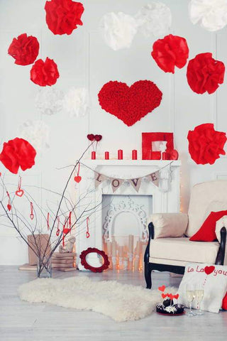 Valentine's Day Decoration Backdrop for Photography F-2936