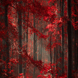 Red Leaves Autumn Forest Photograhy Backdrop